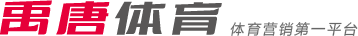 打进了致胜
